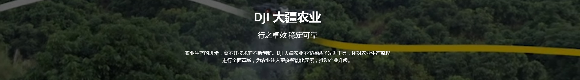 &#20061;&#24030;&#20307;&#24425;&#45;&#20061;&#24030;&#65288;&#20013;&#22269;&#65289;
