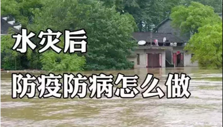 &#20061;&#24030;&#20307;&#24425;&#45;&#20061;&#24030;&#65288;&#20013;&#22269;&#65289;